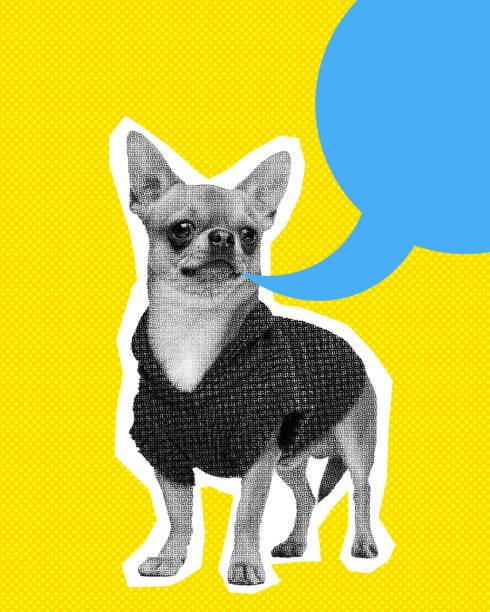 istock Little purebred dog standing over yellow background with speech bubble. Text, information, ads. Contemporary art collage. 1866721039