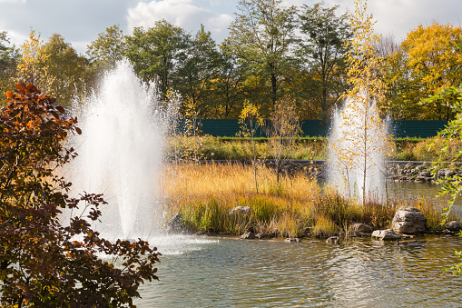Fountains around the small island overgrown with reed on pond in autumn park in sunny day