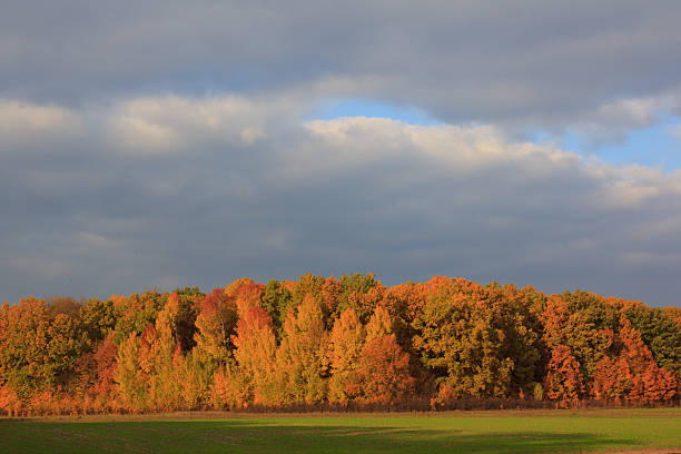 istock Beautiful colorful autumn  landscape 186674121