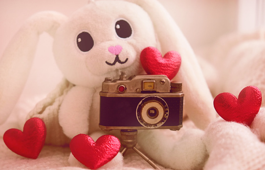 Vintage style, cute bunny toy with analogue camera and red hearts, Love, wedding, Valentines Day