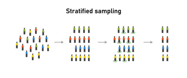 Stratified random sampling statistical method statistics techniques Stratified random sampling statistical method statistics techniques vector quantitative research stock illustrations