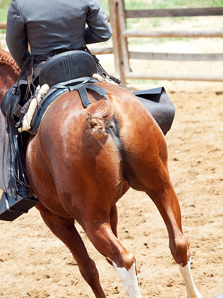 istock cowbow riding at horse looking behind 186676729