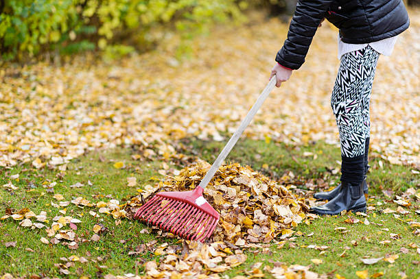 istock Young girl with a red rake, picking up leaf 186676862