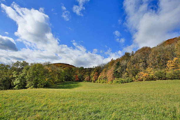 Vienna Woods in autumn Vienna woods in autumn, landscape with meadow and forest in colors of october vienna woods stock pictures, royalty-free photos & images