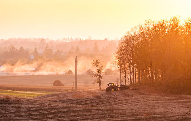 istock Dust from a combine filters evening sun over fields 186679287