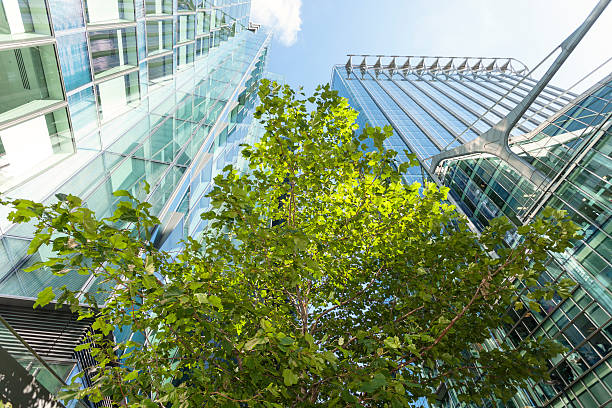 istock Tree Between Modern office Buildings, London, England 186679360