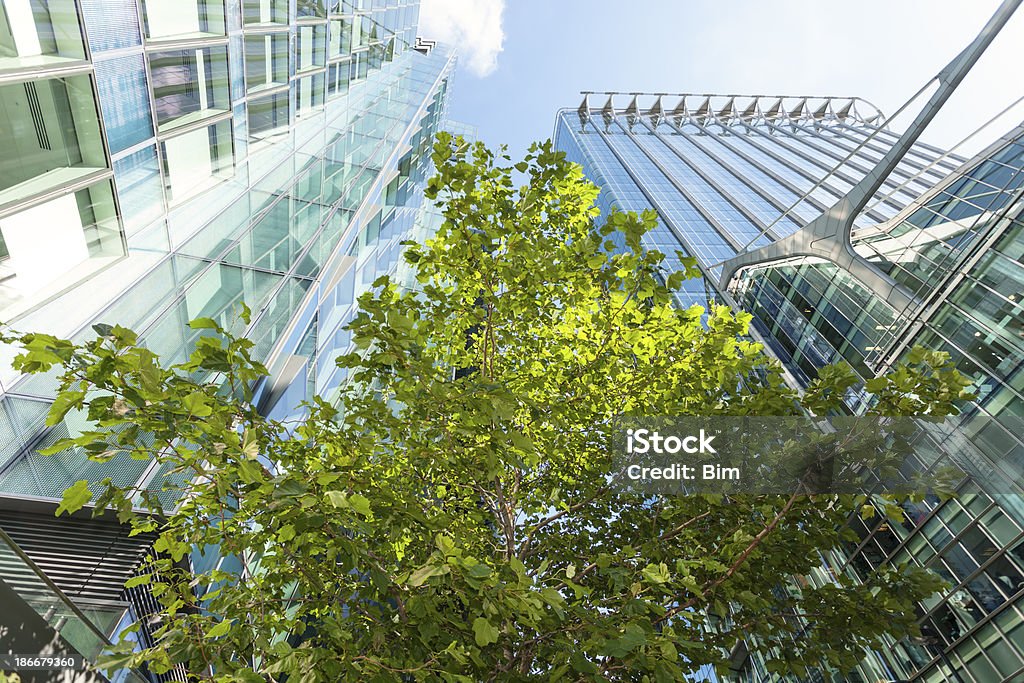 Árvore entre edifícios de escritórios modernos, Londres, Inglaterra - Foto de stock de Preservação ambiental royalty-free