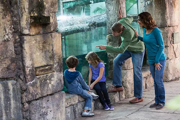 Photo of Family at the zoo