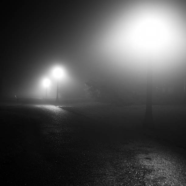 Foggy winter night in the park