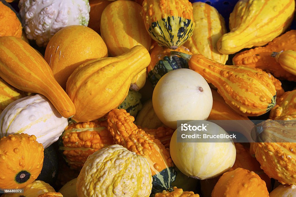 Gourds - Foto de stock de Abóbora Winter royalty-free