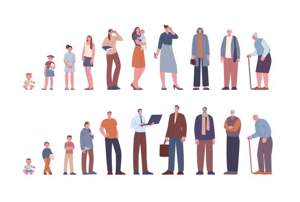 ilustrações de stock, clip art, desenhos animados e ícones de people growth process. personal development from baby to senior. man and woman growing. toddlers, children, teenager and adult kicky vector characters - filhote de animal
