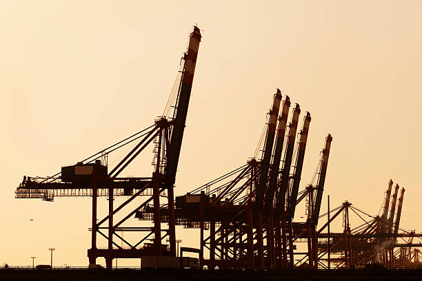 Gantry Cranes at Sunset, Cargo Terminal, Hamburg Harbor CLICK ON LIGHTBOXES BELOW TO VIEW MORE RELATED IMAGES: level luffing crane stock pictures, royalty-free photos & images