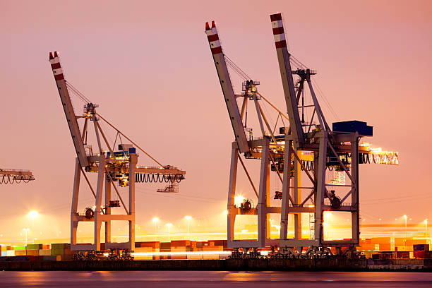 guindastes de pórtico recipiente em hamburgo porto para o anoitecer - hamburg germany harbor cargo container commercial dock imagens e fotografias de stock