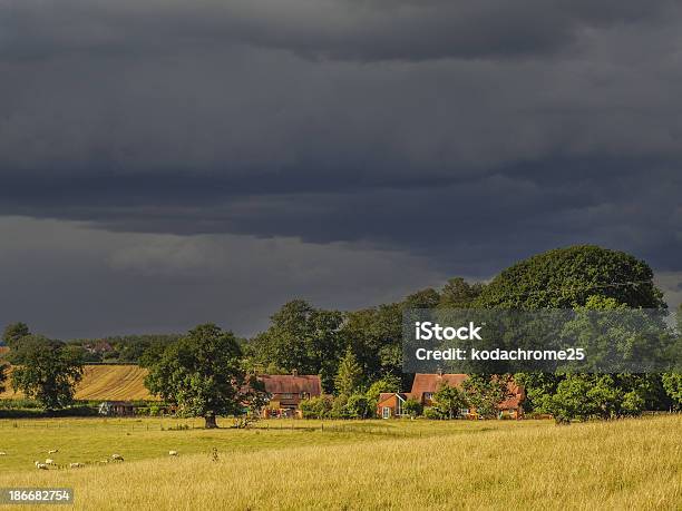 Espaço Rural - Fotografias de stock e mais imagens de Agoirento - Agoirento, Agricultura, Ameaça