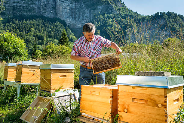 istock man working in a sunny day, beautiful landscape 186683139