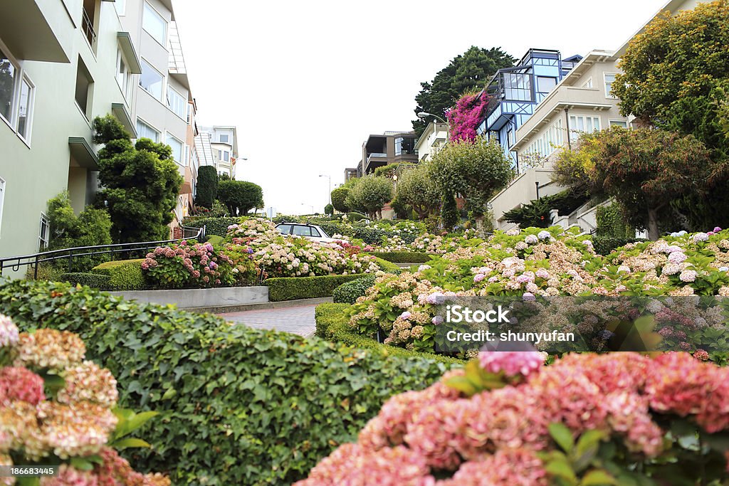 San Francisco: Lombard Street - Foto de stock de Barrio chino libre de derechos