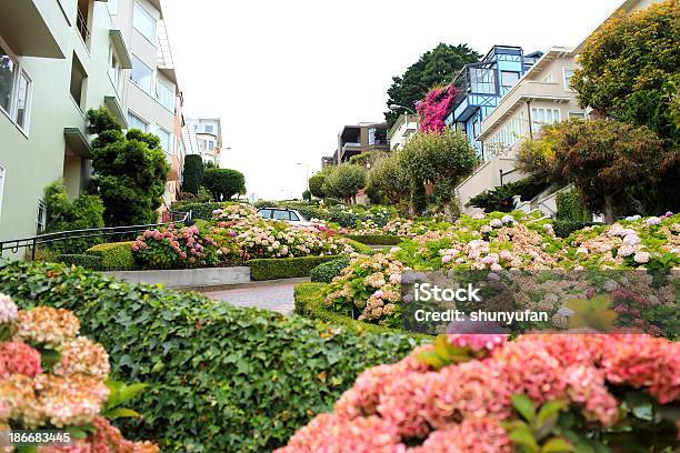 San Francisco Rua Lombard - Fotografias de stock e mais imagens de Chinatown - Chinatown, Alto-Contraste, Ao Ar Livre