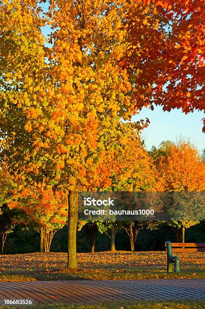 Foto de Parque No Outono e mais fotos de stock de Arbusto - Arbusto, Azul, Banco - Assento