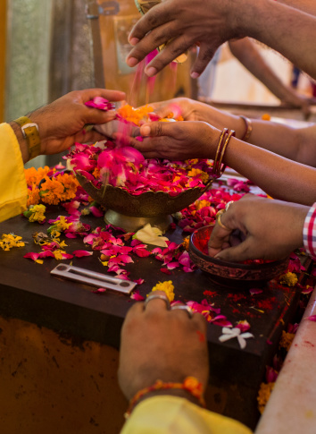 Indian Hindu devotees give flower blessings for prayers as part of celebrations for Krishna at a temple in New Delhi