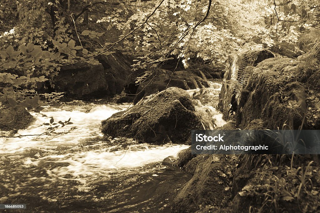 Force Falls in Cumbria Motion blur image of a rapids seen through a verdant woodland in the Cumbrian Lake District. Alston - Cumbria Stock Photo