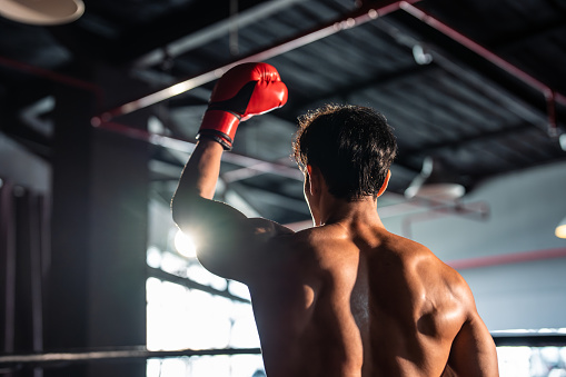 African american boxing champion raising hands up over stadium background, back view, empty space