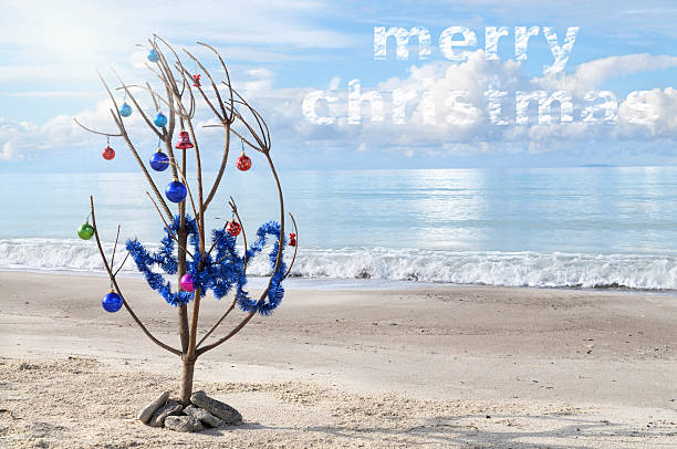 istock Christmas Tree by the Sea 186686751