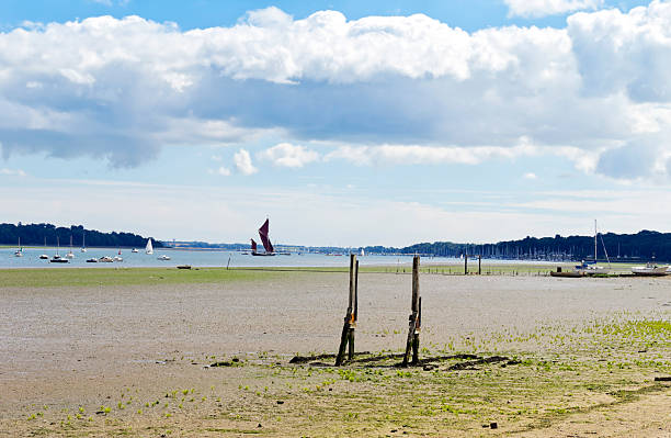 Small boats moored and numerous yachts in marinas beside the River Orwell, at Woolverstone, near Ipswich, Suffolk, England, at low tide. A traditional wherry is mid-river.