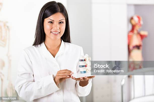 Doctor Holding Modelo Anatómico De La Columna Foto de stock y más banco de imágenes de Dolor de espalda - Dolor de espalda, Adulto, Adulto joven