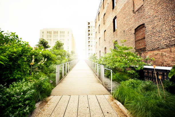 The High Line Park, Chelsea, New York