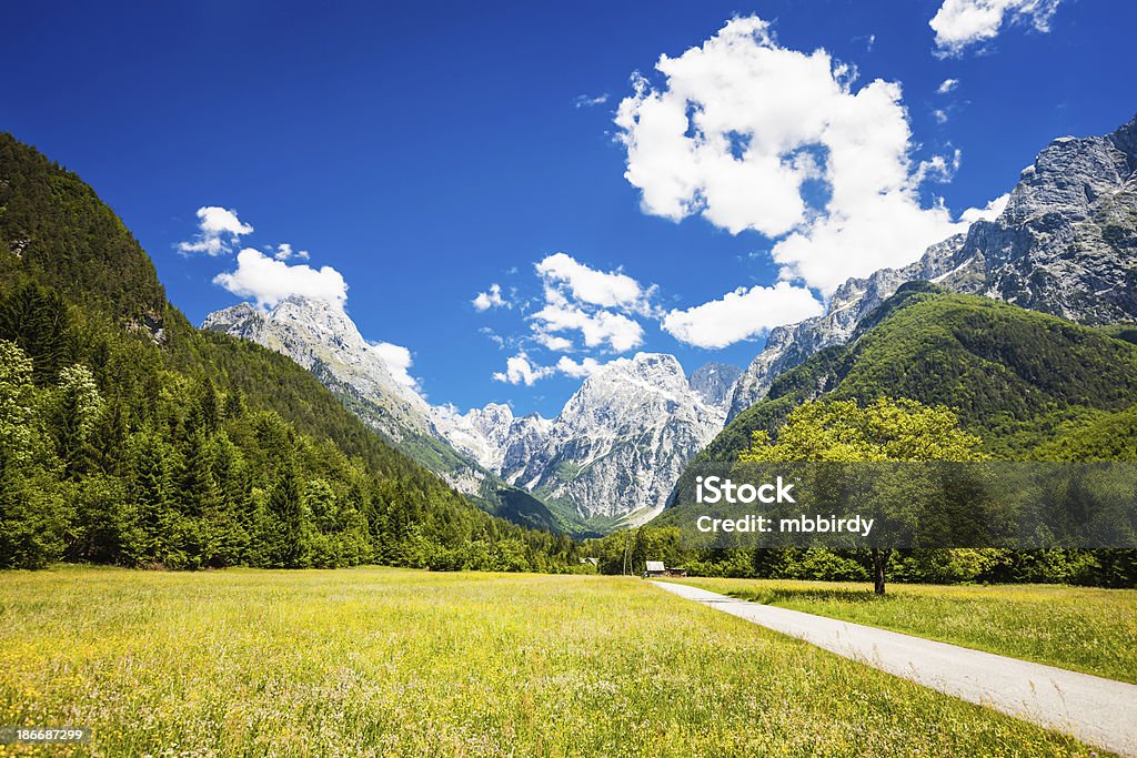 Giornata di sole nel Log in Mangart, Slovenia - Foto stock royalty-free di Alpi