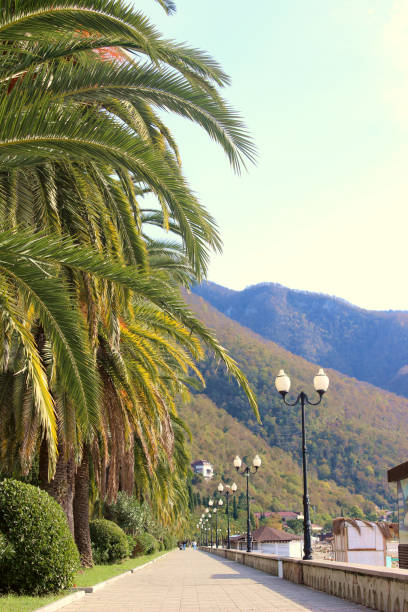 Embankment in a subtropical park. Abkhazia, Gagra