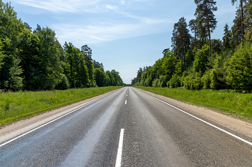 paved road with trees in the forest in sunny weather, trees along the paved road for cars