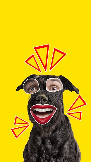 Black furry purebred dog with human eyes and mouth expressing excitement and interest against yellow background. Contemporary art. Concept of fun, meme, animals, emotions, surrealism, inspiration