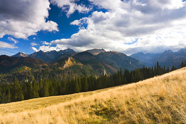 istock eeriness mountain landscape, Tatry, Poland 186688261