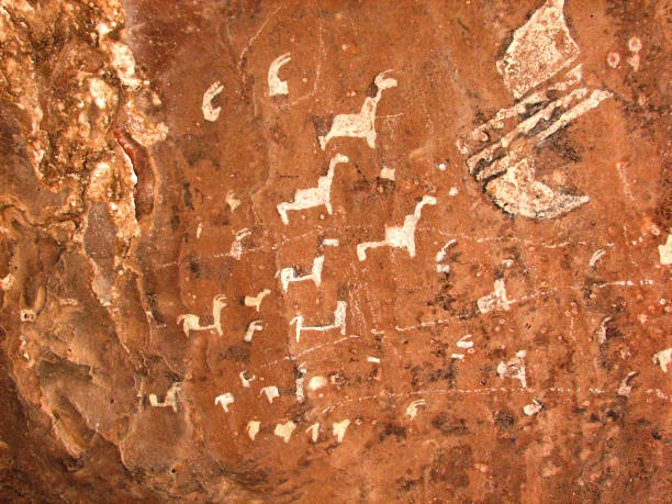 cuevas pintadas de guachipas (argentina) que representan un grupo de llamas blancas. - aboriginal art aborigine rock fotografías e imágenes de stock