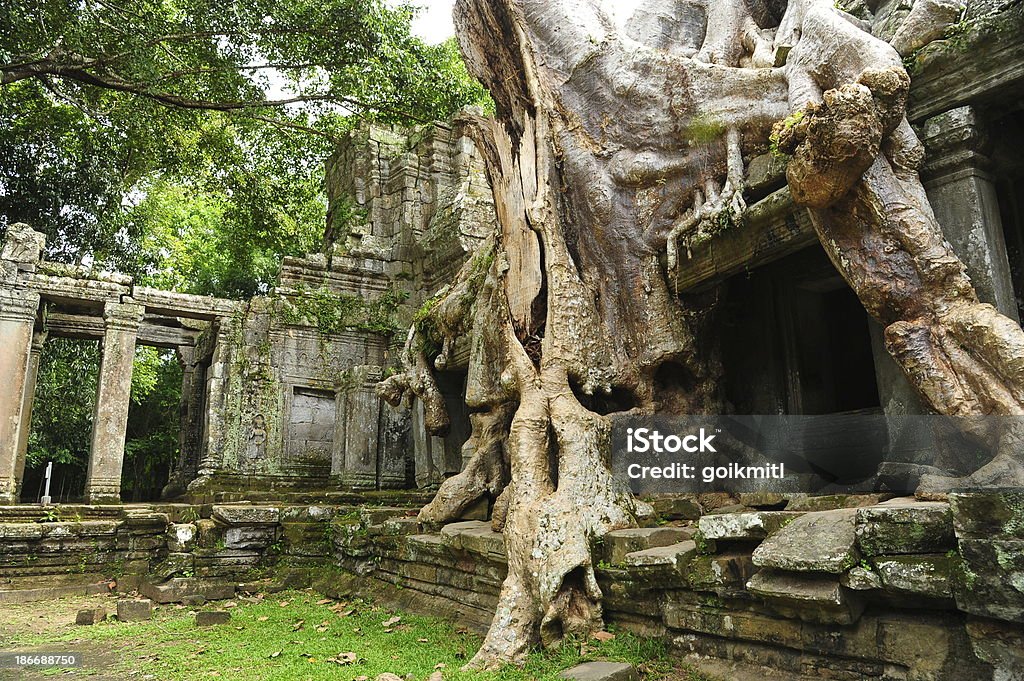 Angkor templo Preah Khan de Angkor Thom en Camboya - Foto de stock de Angkor libre de derechos