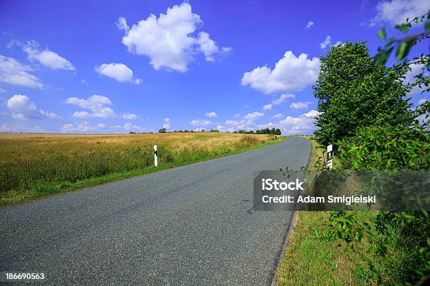 Ruta De Foto de stock y más banco de imágenes de Aire libre - Aire libre, Aldea, Arbusto