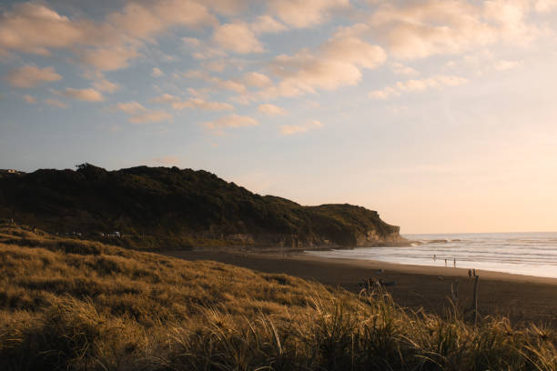 Muriwai sandy coast line at sunset from the dunes