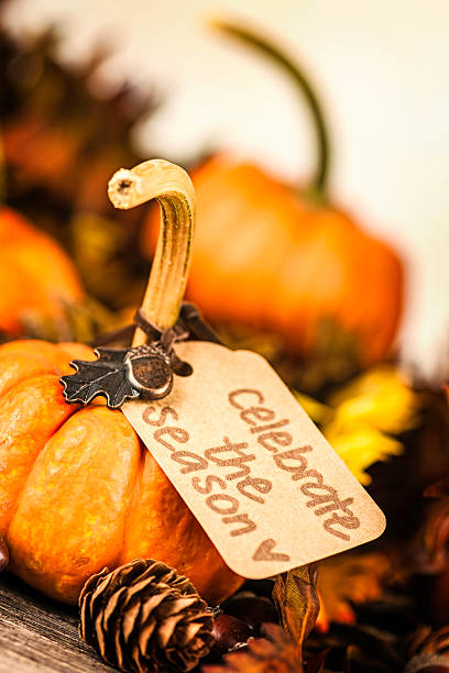 istock Thanksgiving Decorations - Celebrate the Season 186691814
