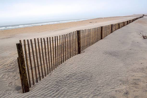 istock Beach with dune fence perspective 186691903