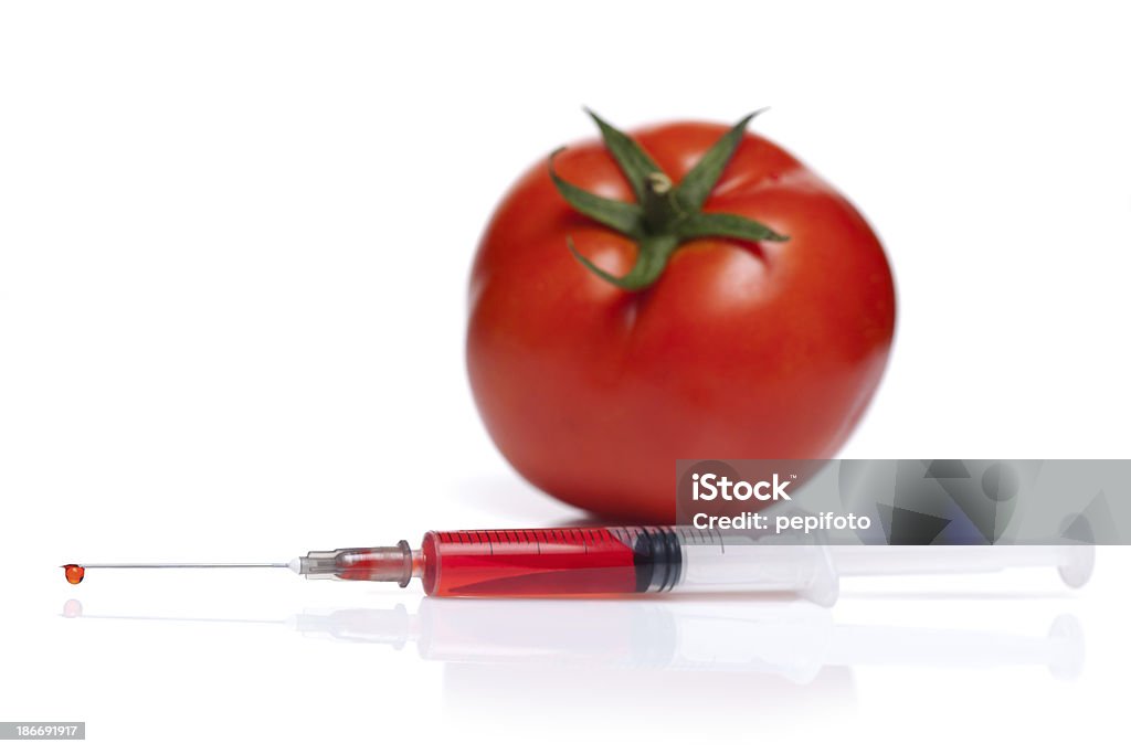 GVO-Tomaten - Lizenzfrei Biotechnologie Stock-Foto