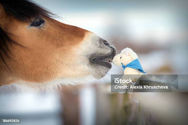 Horse And Toy In Winter Stock Photo - Download Image Now - Animal, Animal Body Part, Animal Head