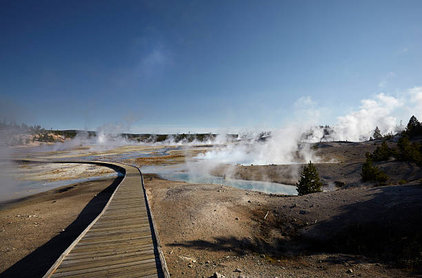 Yellowstone : Norris Geyser Basin stock photo