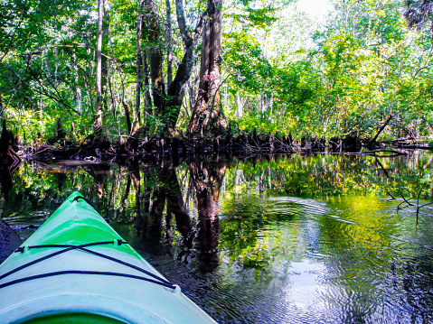 The tip of a kayak is on the left side of the image, with the dark, moving waters of a creek in the swamp.  The water has slight ripples and the tree canopy is lush green.  Image is taken from the panhandle of Florida.