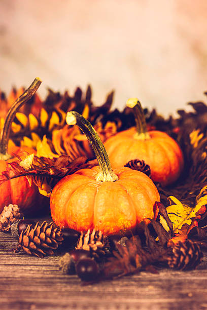istock Autumnal Thanksgiving Arrangement 186693413