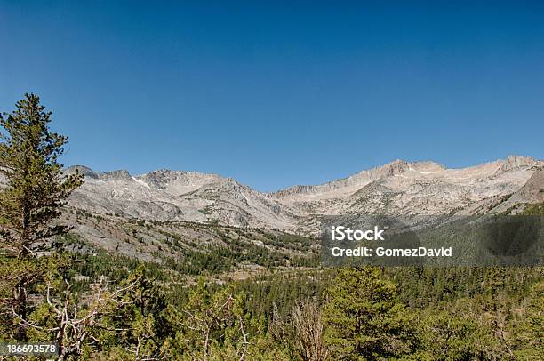 Vista Panoramica Della Sierra Nevada - Fotografie stock e altre immagini di Albero - Albero, Ambientazione esterna, America del Nord