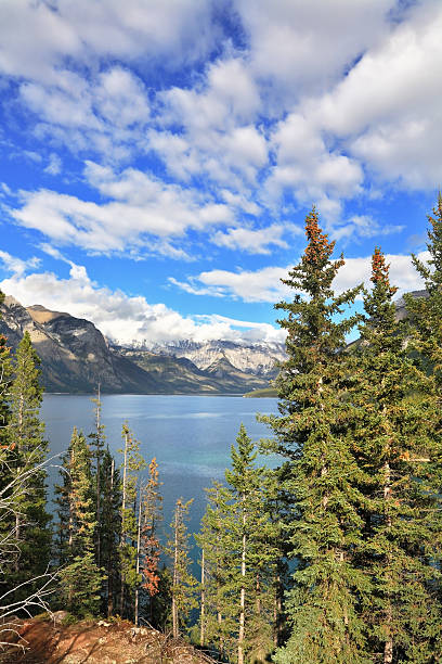 istock Brilliant Bow Lake and the mountain 186695071