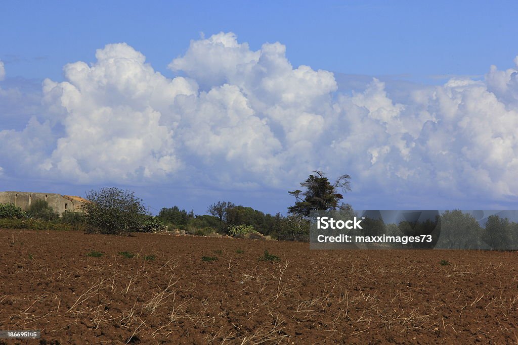 Terra e nuvole sfondo - Foto stock royalty-free di Albero