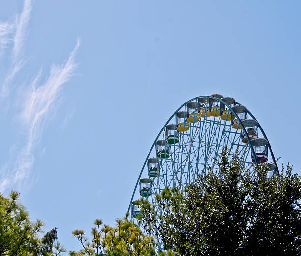 noria - dallas texas texas ferris wheel carnival fotografías e imágenes de stock