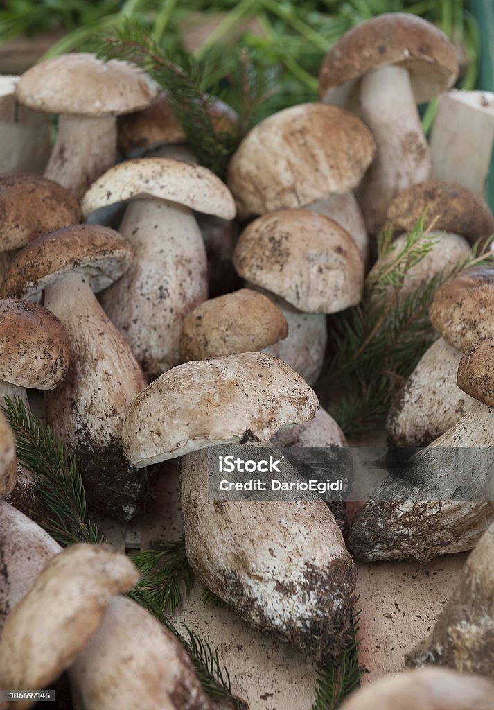 Funghi sulla Bancarella - Foto stock royalty-free di Cibo